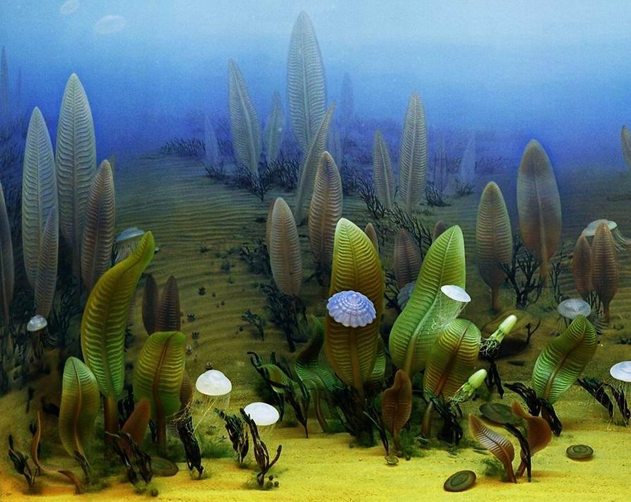 Artist rendition of what shallow aquatic environments (and the life within them) may have looked like during the Ediacaran.
