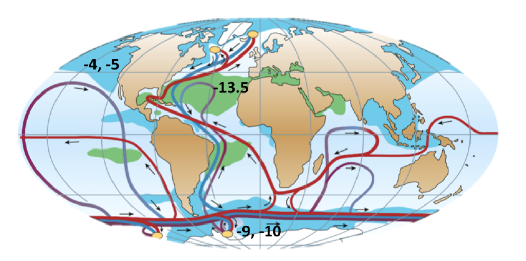 World map with red and blue lines showing dominant movement of water from sites of deep water formation in the North Atlantic southward into the Indian Ocean and around Antarctica as part of the circumpolar current and finally into and northward through the Pacific. Overlaid on the map are typical water mass neodymium isotope values for North Atlantic Deep Water (-13.5), Antarctic Intermediate Water (-9, -10) and North Pacific Deep Water (-4 to -5).