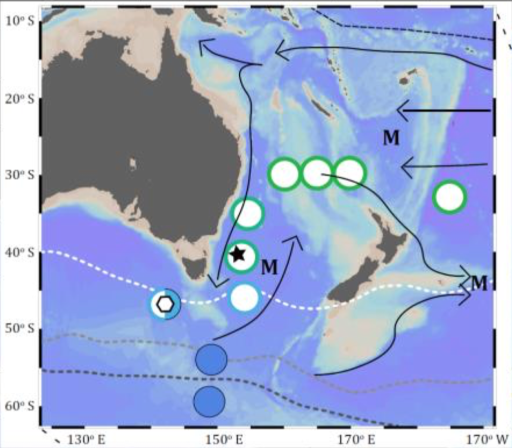 A map of the Tasman Sea between Australia and New Zealand with several dots indicating sample locations for this chromium research. One dot, off Australia about even with the Bass Straight has a star indicating the multi-core location from which pore water was collected for neodymium and chromium measurements on board RV Investigator.