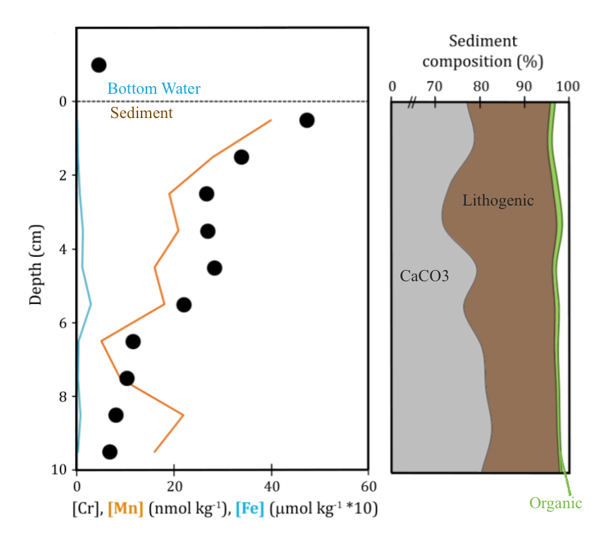 Figure consisting of two graphs. The left graph shows a profile of dissolved Chromium from bottom water down through the sediment-water interface and to 10 cm sediment depth (in the pore water). Corresponding data is shown for dissolved iron and manganese. Right hand plot shows relative percent calcium carbonate, lithogenic, and organic matter in the sediment with depth- all sediments are calcareous ooze with greater than 70% calcium carbonate. 